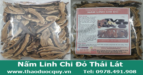 nấm linh chi đỏ th&aacute;i l&aacute;t